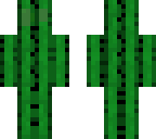 cactus bouy