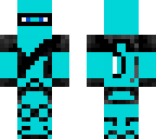 polarninjayt skin