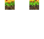 taco head