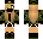 swedish military