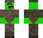 turtle warrior