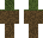 grass 