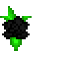 black rose