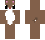 brown hamster
