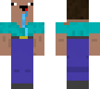 help the steve