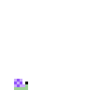 snail