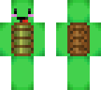 turtle