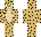 cheetah
