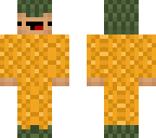 pineapple ananas