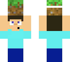 steve holding grass block