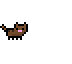 kitty