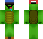 turtle whith swag