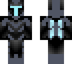 armored elytra