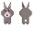 hase