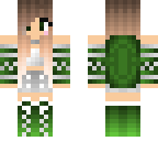 samplex turtle