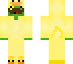 turtle with duck onesie