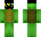 fancy turtle