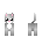 silver cat