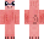 nerd pig