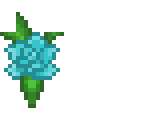 blue rose
