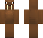 derpy walrus