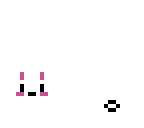 bunny