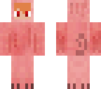 pig onezie