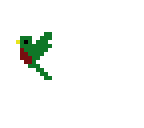 q bird