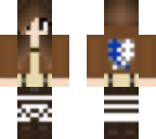 attack on titan skin