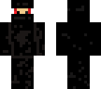 ninja dragon