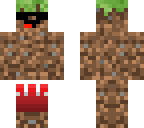 the beach dirt