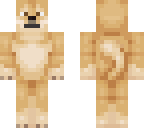 doge