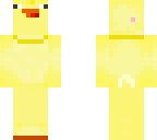 duck_owner