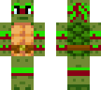 ninja turtle