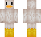 pato
