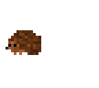 cute hedgehog