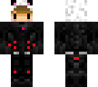 tinn_v2