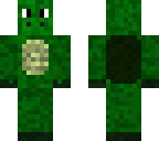 turtle dude
