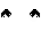 yin yang