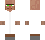 librarian villager