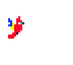scarlet macaw
