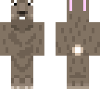 weird rabbit