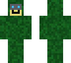 camoflage
