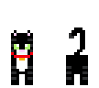 cat with collar