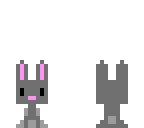 gray bunny