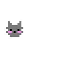 cat face