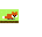 cute fox