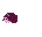 purple hedgehog