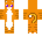 orange cat