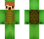 cute turtle